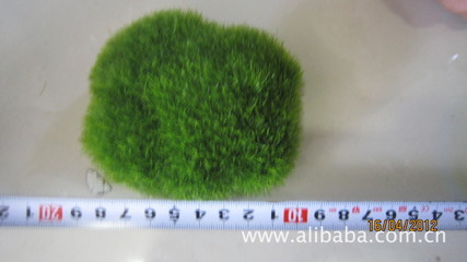 石頭-植絨石頭-禮品、工藝品、飾品-求購產品詳情