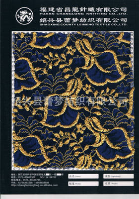 【大量現(xiàn)貨供應新款錦綸壓紗蕾絲面料】價格,廠家,圖片,花邊類,紹興縣蕾夢紡織-
